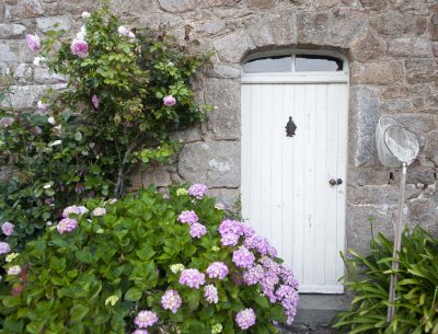 hortensia-bretagne-bréhat_porte-typique-breton